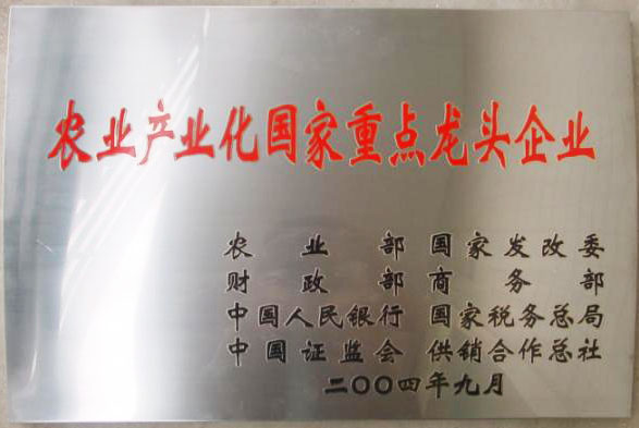 立足過去、放眼未來，白象食品二十三歲生日快樂